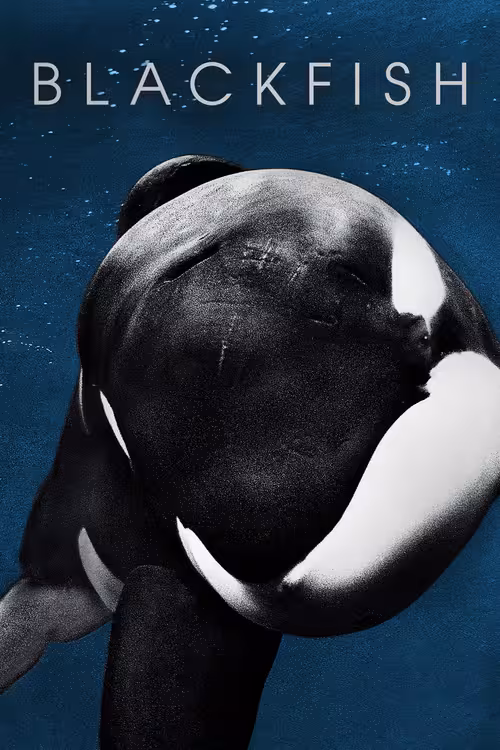 Poster &mdash; Blackfish