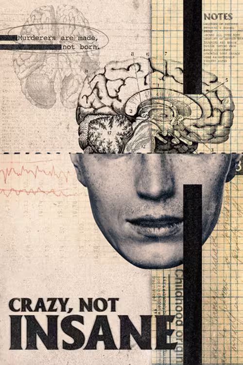 Poster &mdash; Crazy, Not Insane