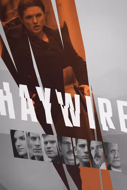 Poster &mdash; Haywire