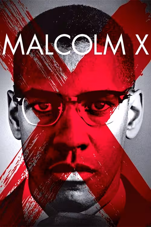 Poster &mdash; Malcolm X
