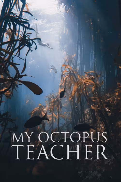 Poster &mdash; My Octopus Teacher