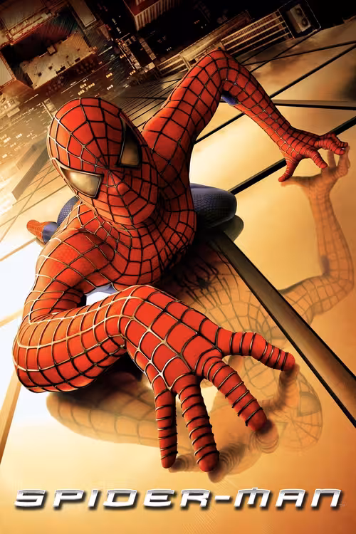 Poster for Spider-Man