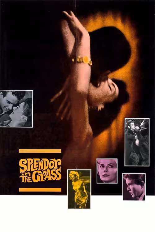 Poster &mdash; Splendor in the Grass