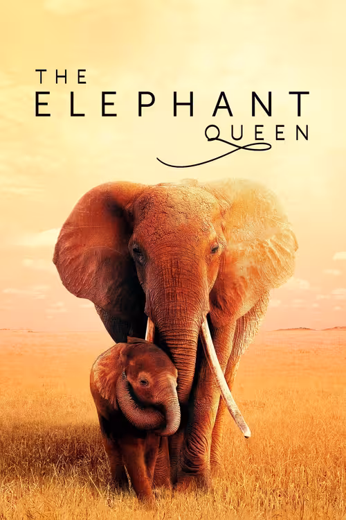 Poster &mdash; The Elephant Queen