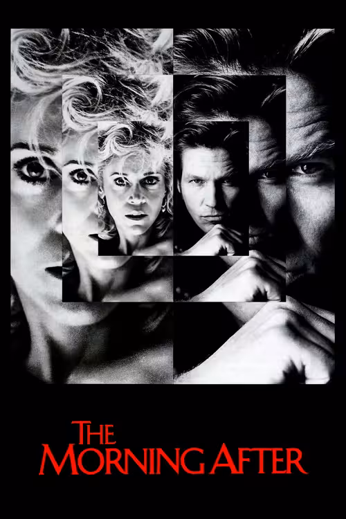 Poster &mdash; The Morning After