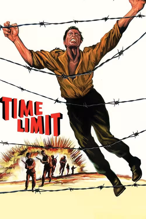 Poster &mdash; Time Limit