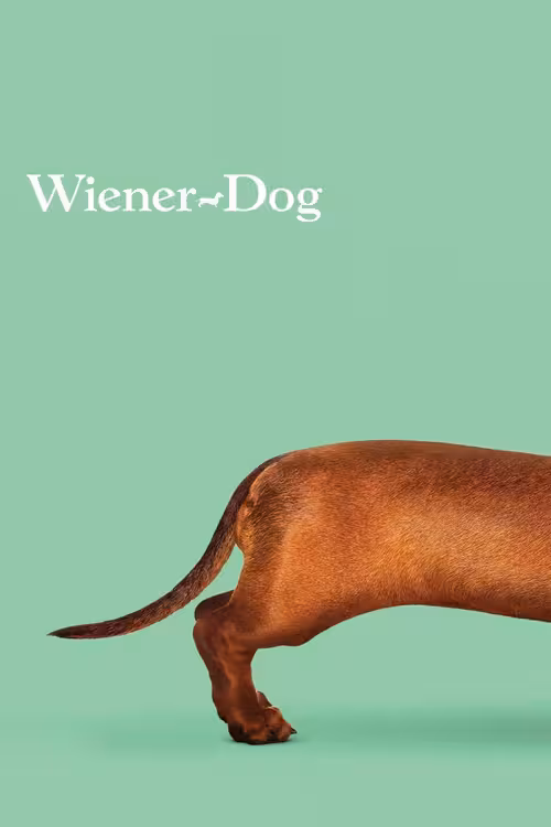 Poster &mdash; Wiener-Dog